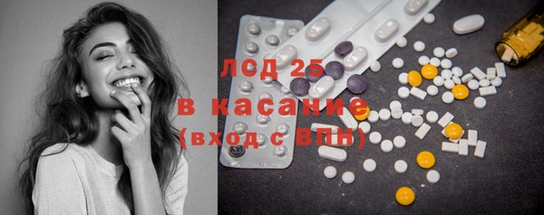 крисы Алзамай